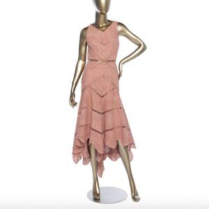 Pink Zimmermann Jasper fan eyelet lace maxi dress hi lo hem Sz 2 Excellent RARE